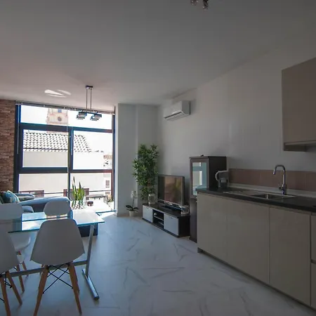 Apartment With Terrace In Malaga Center - Tcm Màlaga Exterior photo